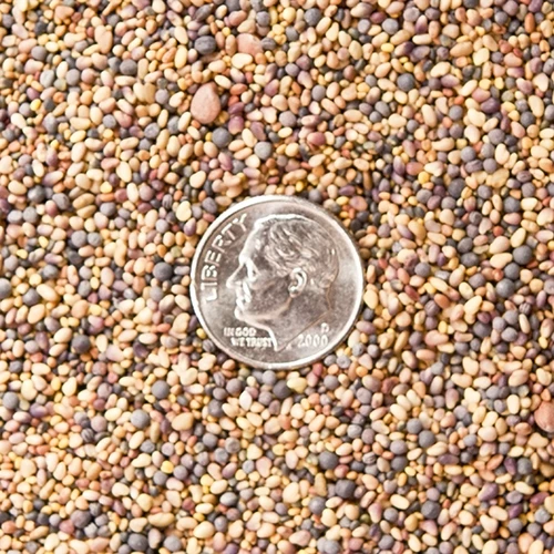 Frigid Forage Wild Game Buffet – 4 lb / 1/2 Acre Bag 4 Frigid Forage Wild Game Buffet – 4 lb / 1/2 Acre Bag - Image 2