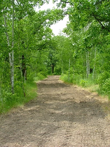 Frigid Forage Wild Game Buffet – 4 lb / 1/2 Acre Bag 6 Frigid Forage Wild Game Buffet – 4 lb / 1/2 Acre Bag - Image 4