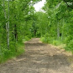 Frigid Forage Wild Game Buffet – 4 lb / 1/2 Acre Bag 11 Frigid Forage Wild Game Buffet – 4 lb / 1/2 Acre Bag -Outlet Sporting Goods Store wldgmb4.0 4