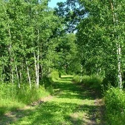 Frigid Forage Wild Game Buffet – 4 lb / 1/2 Acre Bag 12 Frigid Forage Wild Game Buffet – 4 lb / 1/2 Acre Bag -Outlet Sporting Goods Store wldgmb4.0 5 1