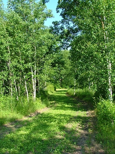 Frigid Forage Wild Game Buffet – 4 lb / 1/2 Acre Bag 7 Frigid Forage Wild Game Buffet – 4 lb / 1/2 Acre Bag - Image 5