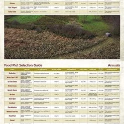 Whitetail Institute Imperial Whitetail Winter Peas PLUS - 11 LB -Outlet Sporting Goods Store wp11 5 1